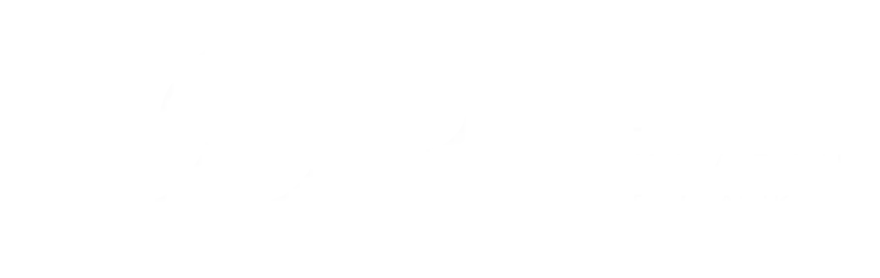 Logo hero