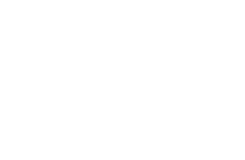 Logo hero